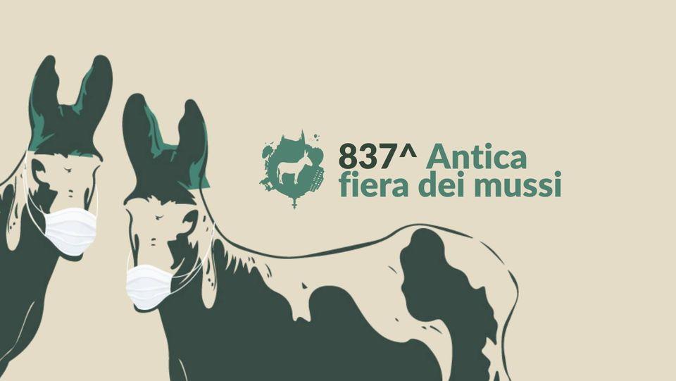 fiera dei mussi