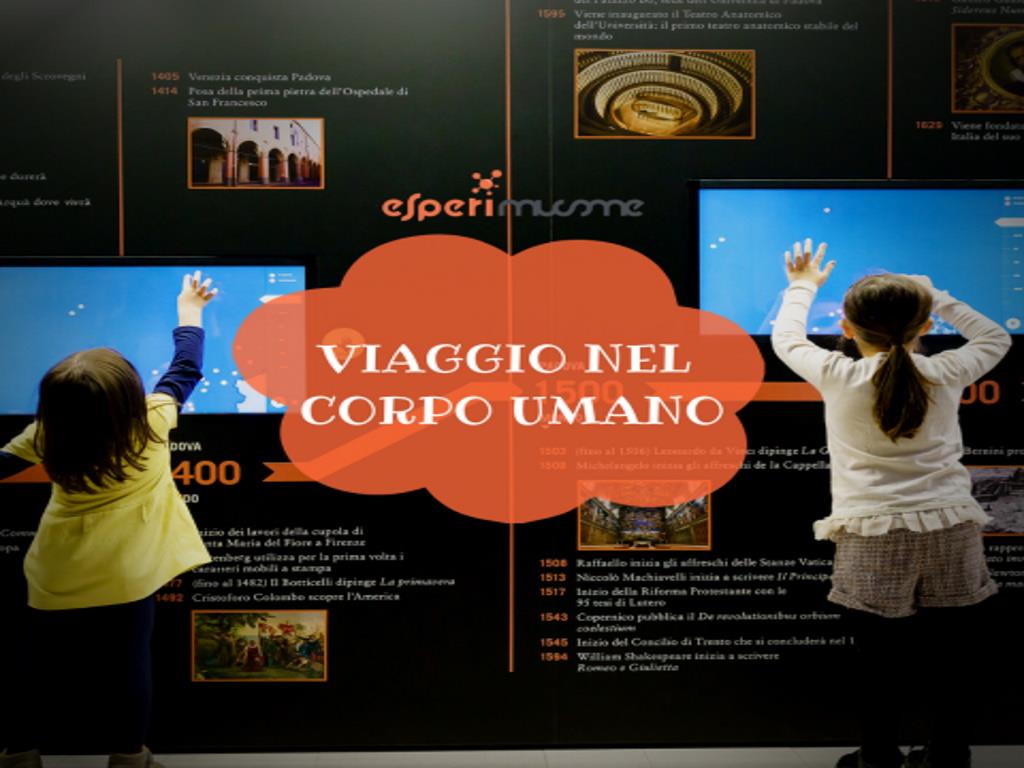 Viaggio nel corpo umano