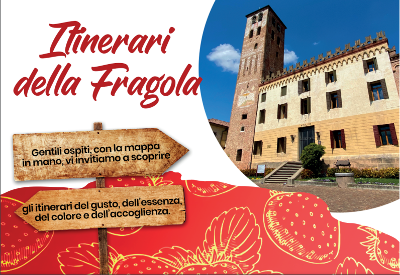 Itinerari della fragola Camposampiero